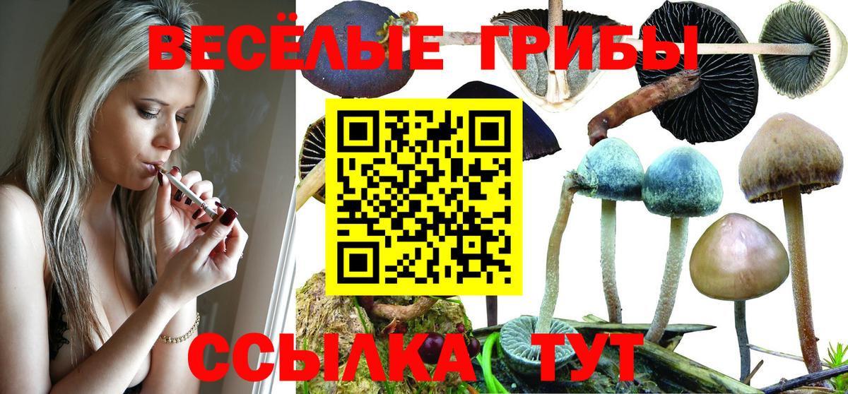 Псилоцибиновые грибы GOLDEN TEACHER Электросталь