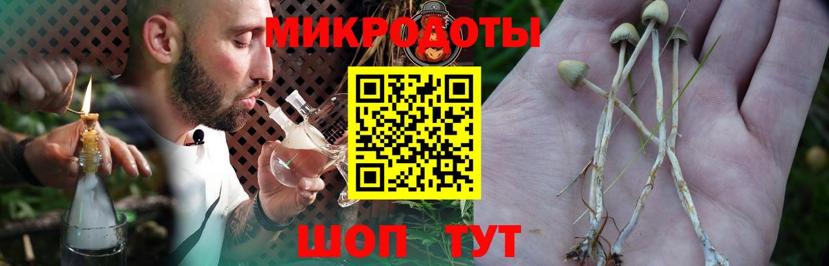 наркошоп  Вход с VPN  Электросталь  Галлюциногенные грибы Cubensis 
